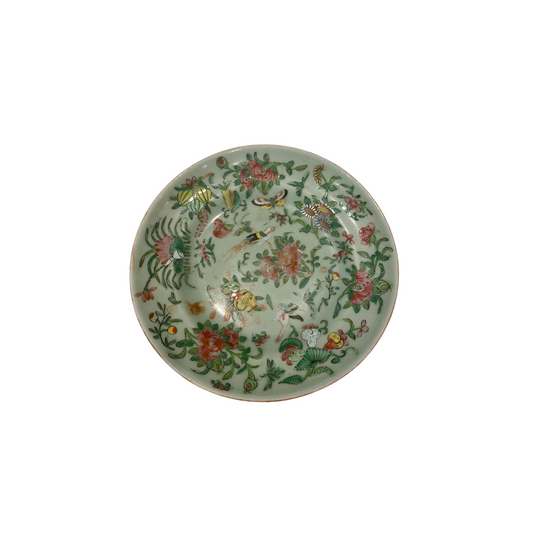 Antique Rose Famille Plate on Celadon